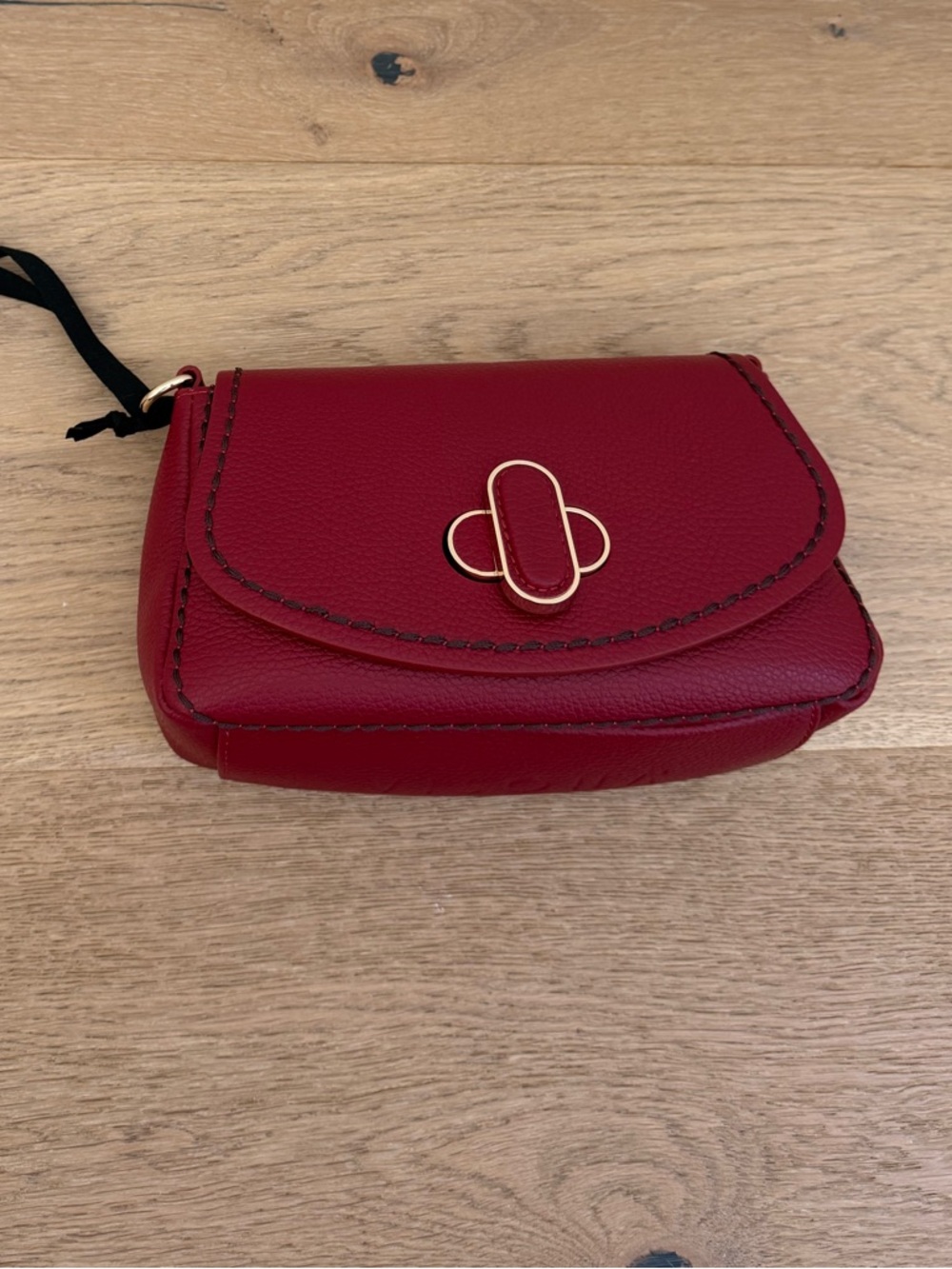 Plinio Visona Italia Red Leather Crossbody Bag Gold Hardware Turn Lock NWT - Picture 3 of 8